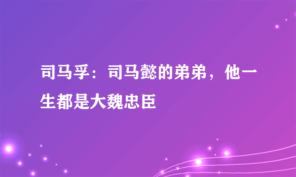 司马孚：司马懿的弟弟，他一生都是大魏忠臣