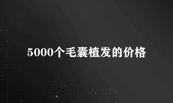 5000个毛囊植发的价格