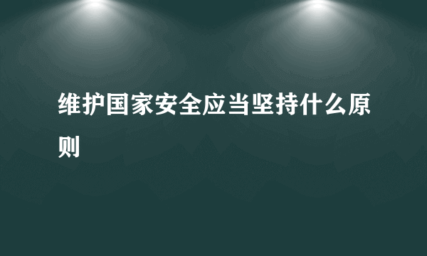 维护国家安全应当坚持什么原则