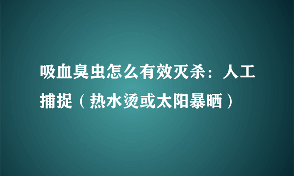 吸血臭虫怎么有效灭杀：人工捕捉（热水烫或太阳暴晒）