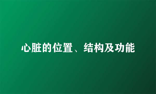 心脏的位置、结构及功能