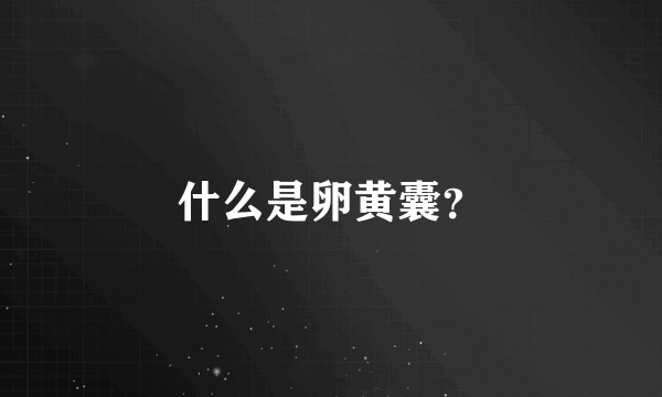 什么是卵黄囊？