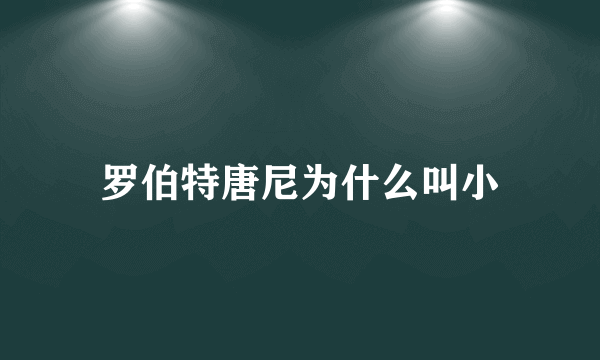 罗伯特唐尼为什么叫小