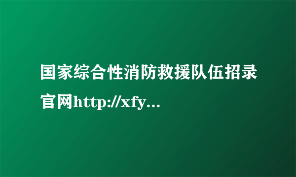 国家综合性消防救援队伍招录官网http://xfyzl.119.gov.cn