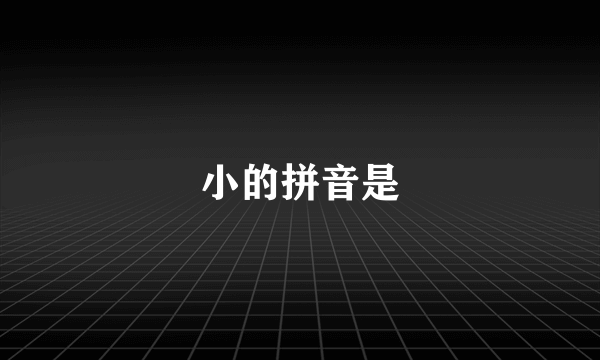 小的拼音是