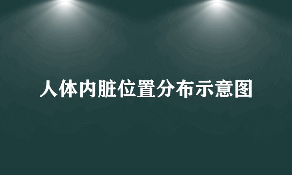 人体内脏位置分布示意图