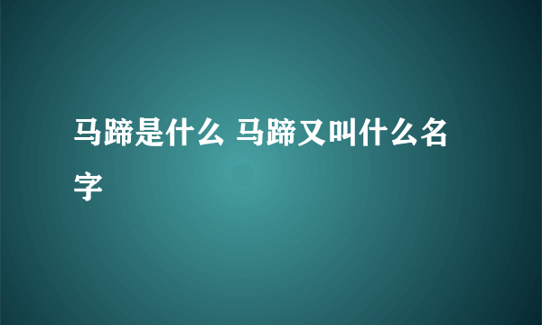 马蹄是什么 马蹄又叫什么名字