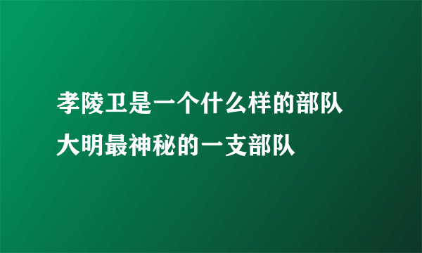 孝陵卫是一个什么样的部队 大明最神秘的一支部队