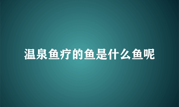 温泉鱼疗的鱼是什么鱼呢