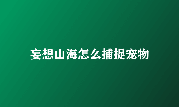 妄想山海怎么捕捉宠物