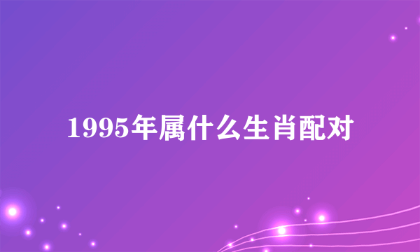 1995年属什么生肖配对