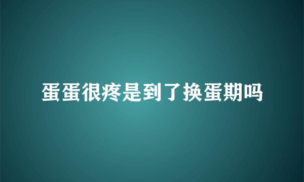 蛋蛋很疼是到了换蛋期吗