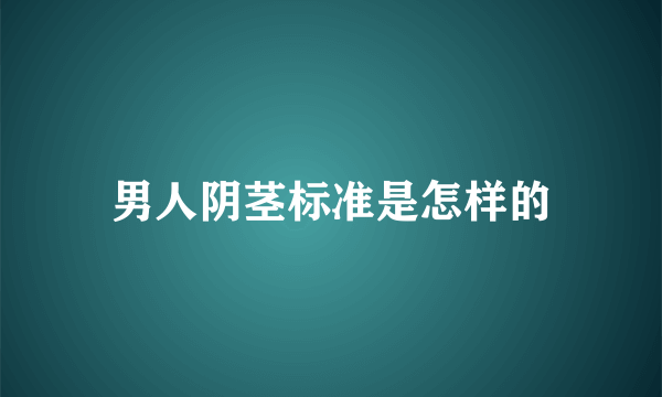 男人阴茎标准是怎样的