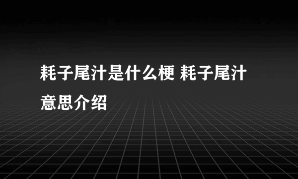 耗子尾汁是什么梗 耗子尾汁意思介绍