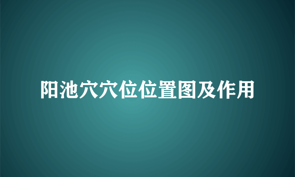 阳池穴穴位位置图及作用