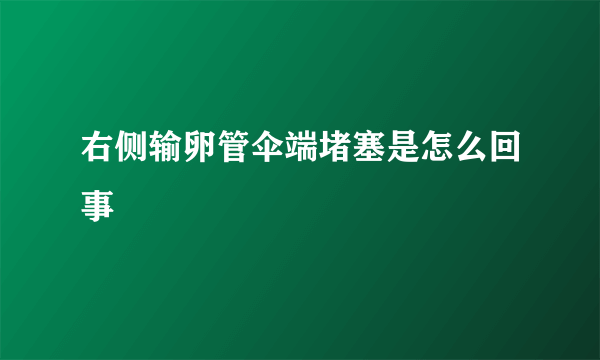 右侧输卵管伞端堵塞是怎么回事