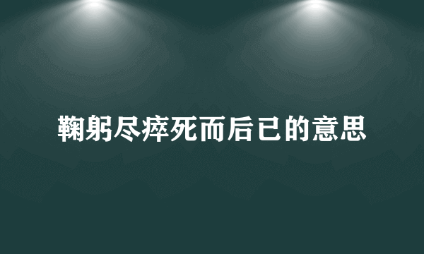 鞠躬尽瘁死而后已的意思