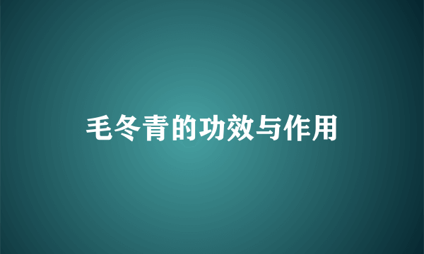 毛冬青的功效与作用