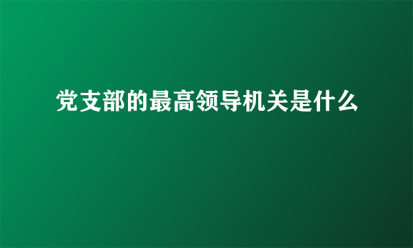 党支部的最高领导机关是什么