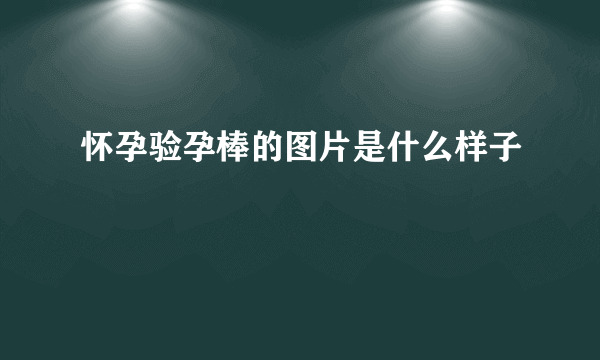 怀孕验孕棒的图片是什么样子