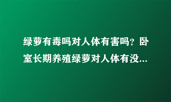 绿萝有毒吗对人体有害吗？卧室长期养殖绿萝对人体有没有伤害？