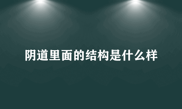 阴道里面的结构是什么样