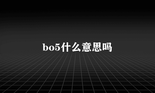 bo5什么意思吗