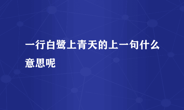 一行白鹭上青天的上一句什么意思呢