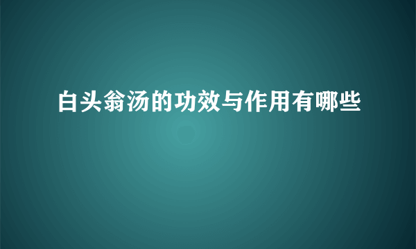 白头翁汤的功效与作用有哪些