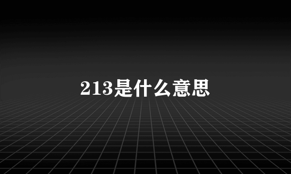 213是什么意思