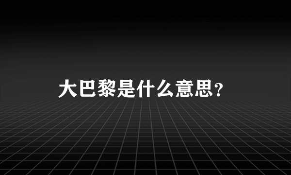 大巴黎是什么意思？