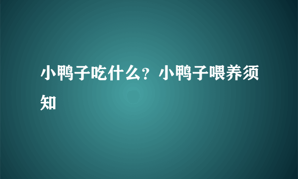 小鸭子吃什么？小鸭子喂养须知