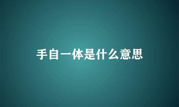 手自一体是什么意思