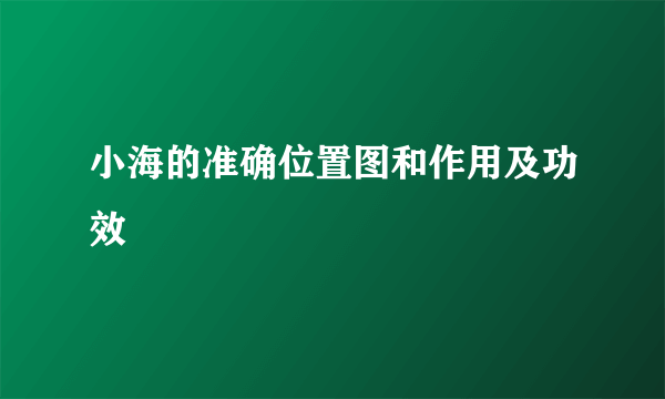 小海的准确位置图和作用及功效