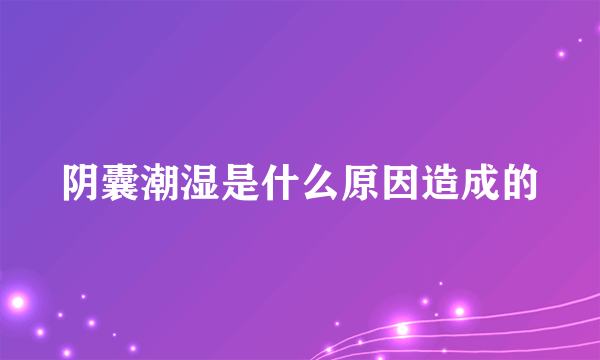 阴囊潮湿是什么原因造成的