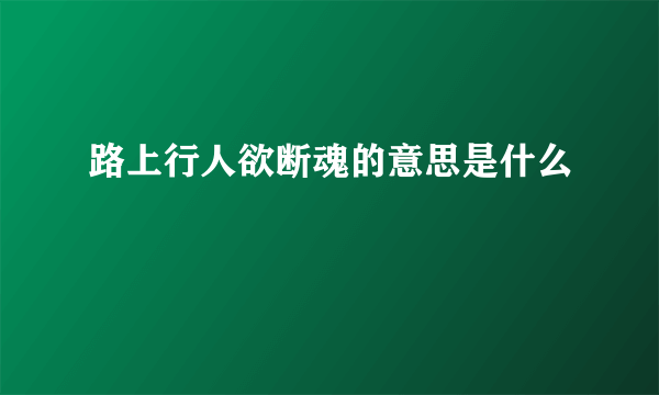 路上行人欲断魂的意思是什么