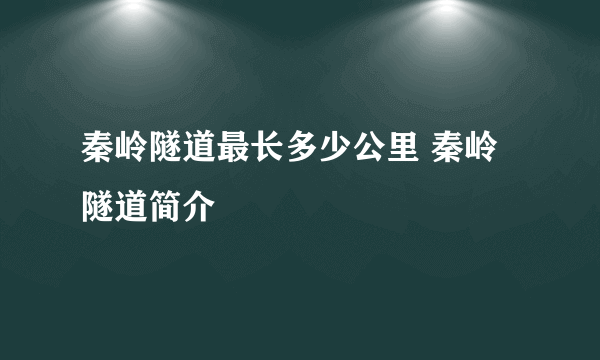 秦岭隧道最长多少公里 秦岭隧道简介