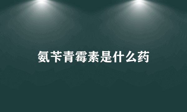 氨苄青霉素是什么药