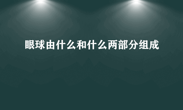 眼球由什么和什么两部分组成