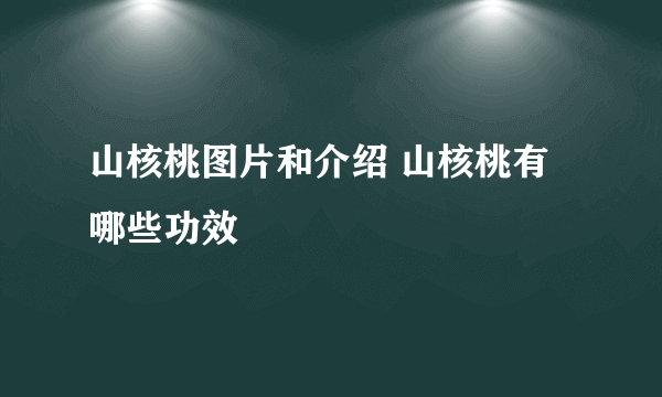 山核桃图片和介绍 山核桃有哪些功效