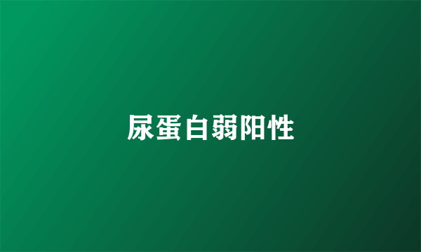 尿蛋白弱阳性