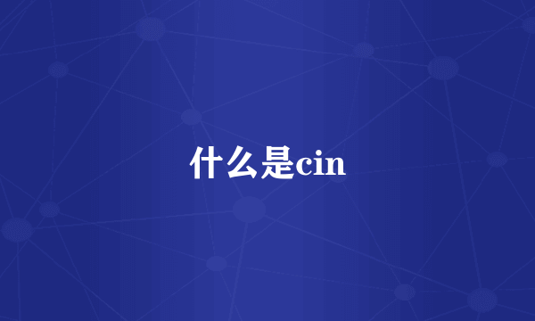 什么是cin