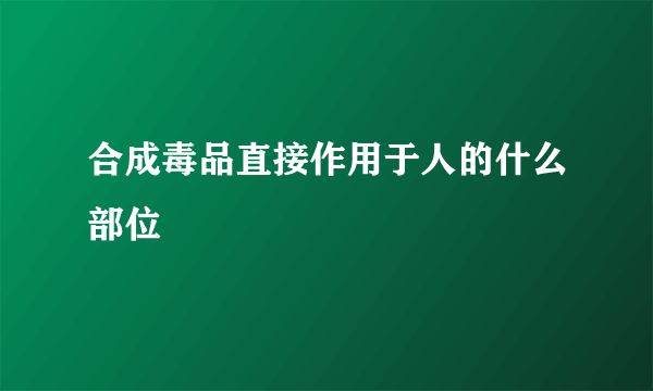 合成毒品直接作用于人的什么部位