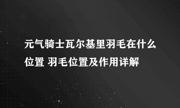 元气骑士瓦尔基里羽毛在什么位置 羽毛位置及作用详解