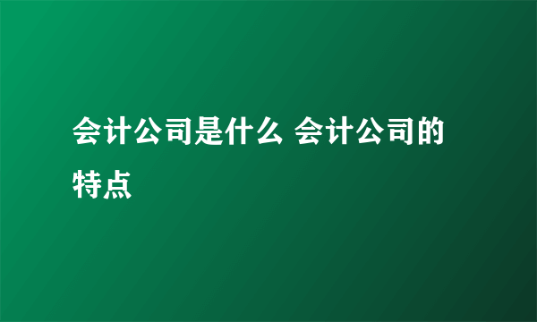 会计公司是什么 会计公司的特点