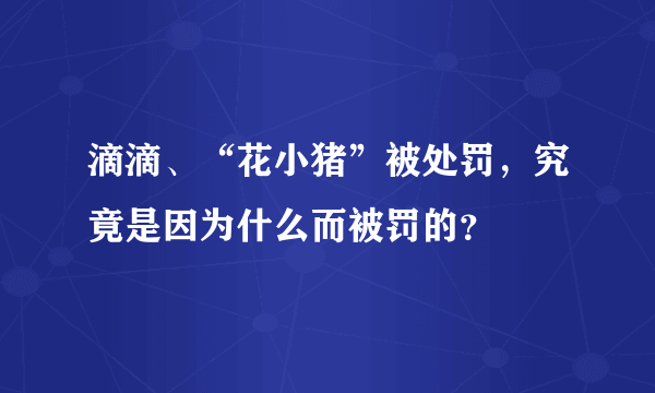 滴滴、“花小猪”被处罚，究竟是因为什么而被罚的？