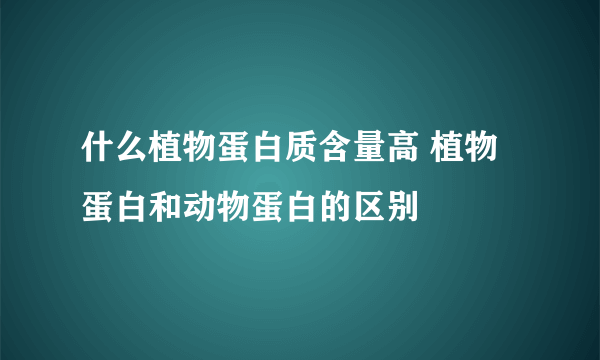 什么植物蛋白质含量高 植物蛋白和动物蛋白的区别