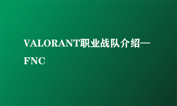 VALORANT职业战队介绍—FNC