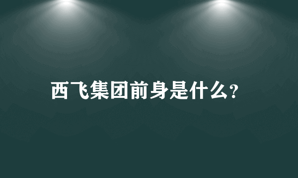 西飞集团前身是什么？