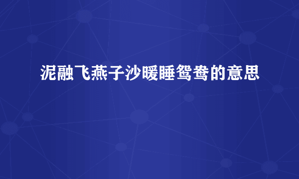 泥融飞燕子沙暖睡鸳鸯的意思